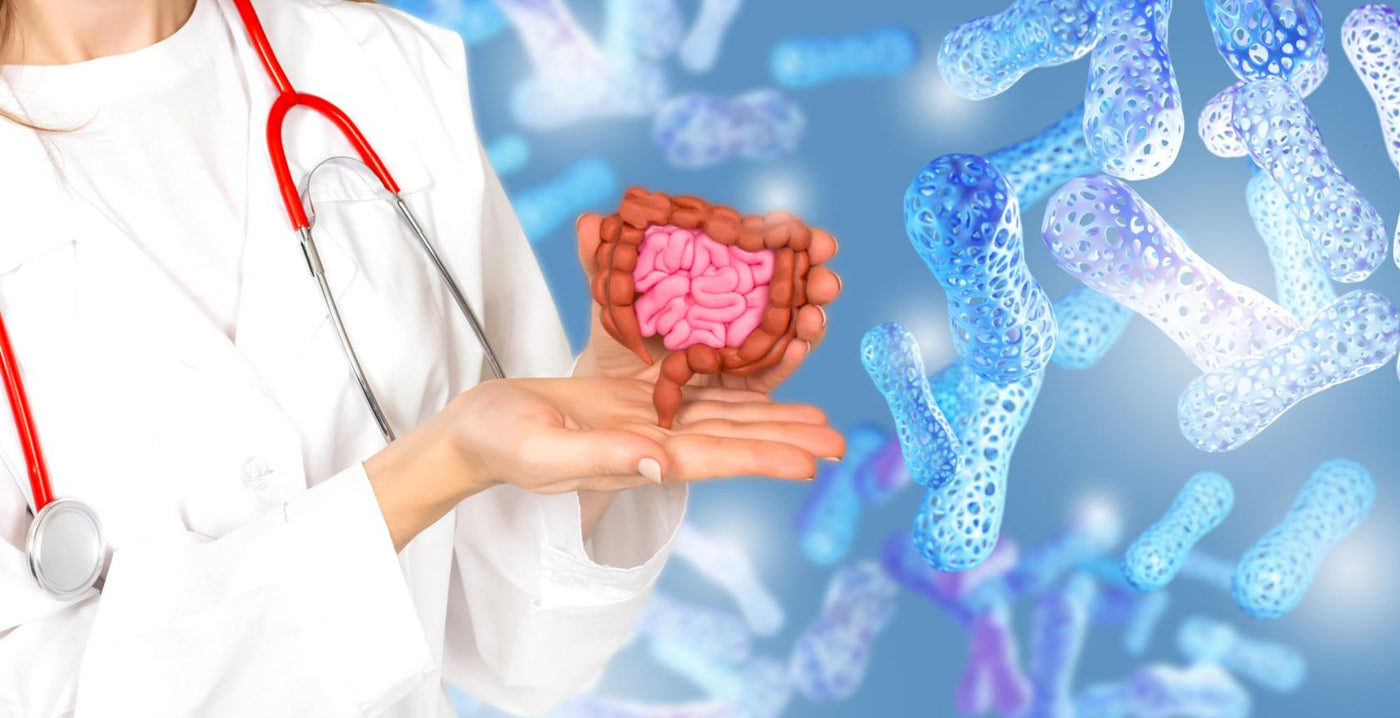 The Truth About Gut Health: Why Most Probiotics Don’t Work
