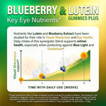 NaturElan Blueberry Lutein Gummies – 11 Key Nutrients for Eye Health, Kids & Adults