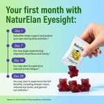 NaturElan Blueberry Lutein Gummies for Eye Health – 11 Key Nutrients & Blue Light Support (45 Gummies)