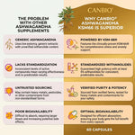 CANBIO Ashwagandha with Black Pepper Extract – Sleep, Stress & Performance Support for Men & Women