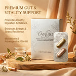 Ashwagandha KSM-66 & Probiotics Supplement for Gut Health, Stress Relief & Energy